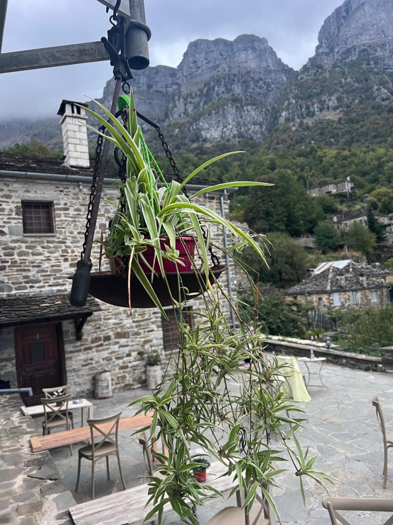Ikojenia Traditional Lodge Papigko Bagian luar foto